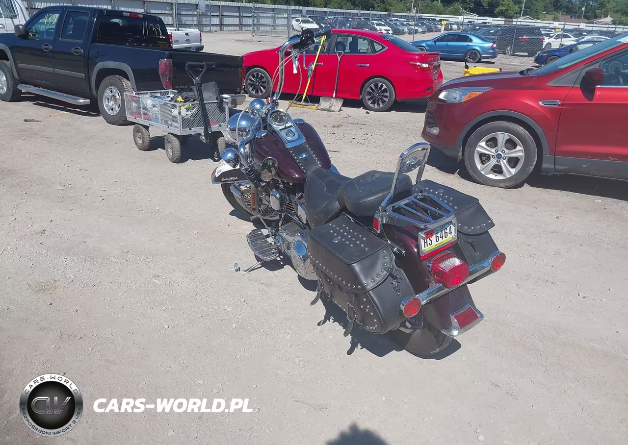 2006 Harley-Davidson Flstci VIN:1HD1BWB376Y057331 - 3