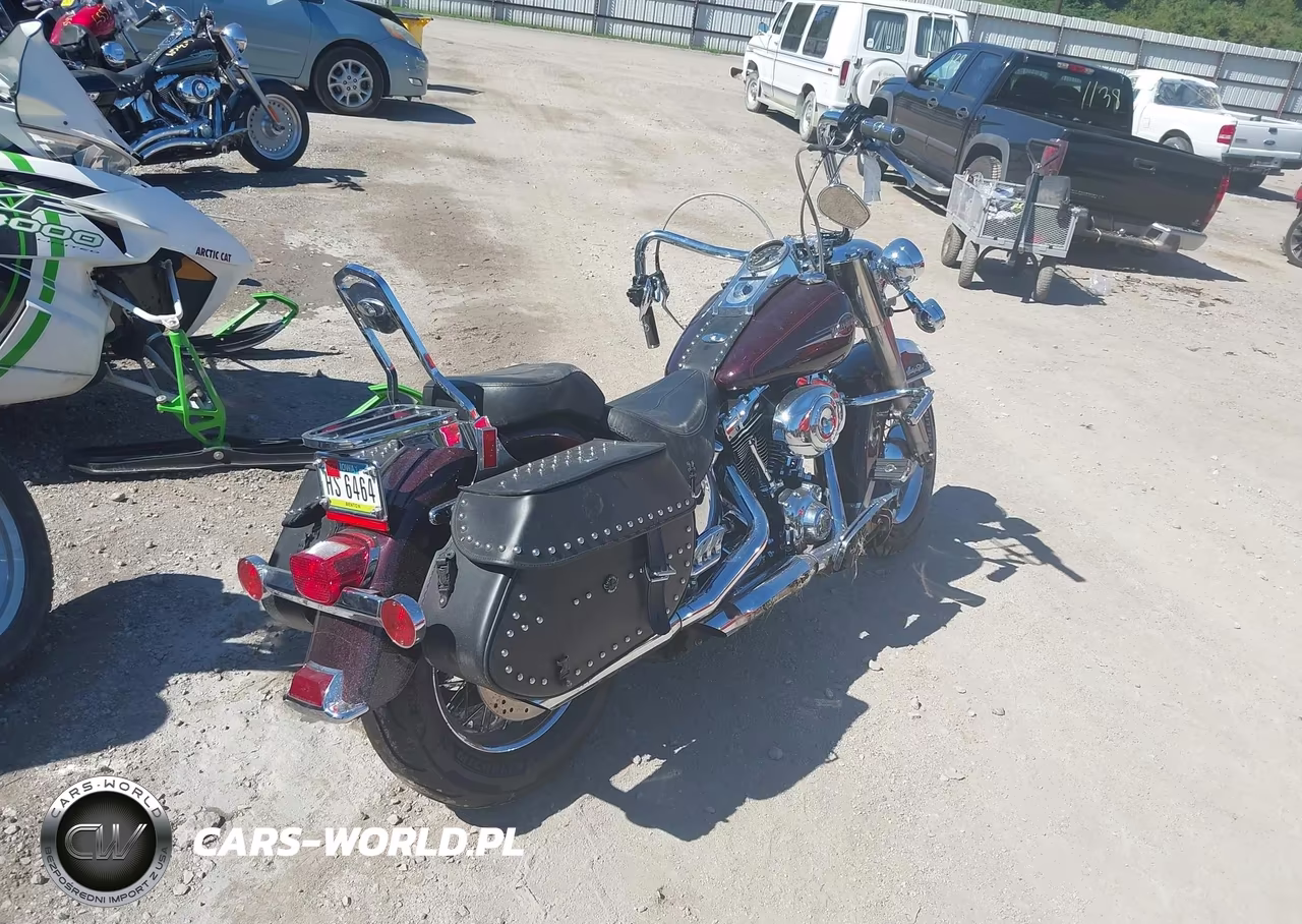 2006 Harley-Davidson Flstci VIN:1HD1BWB376Y057331 - 4