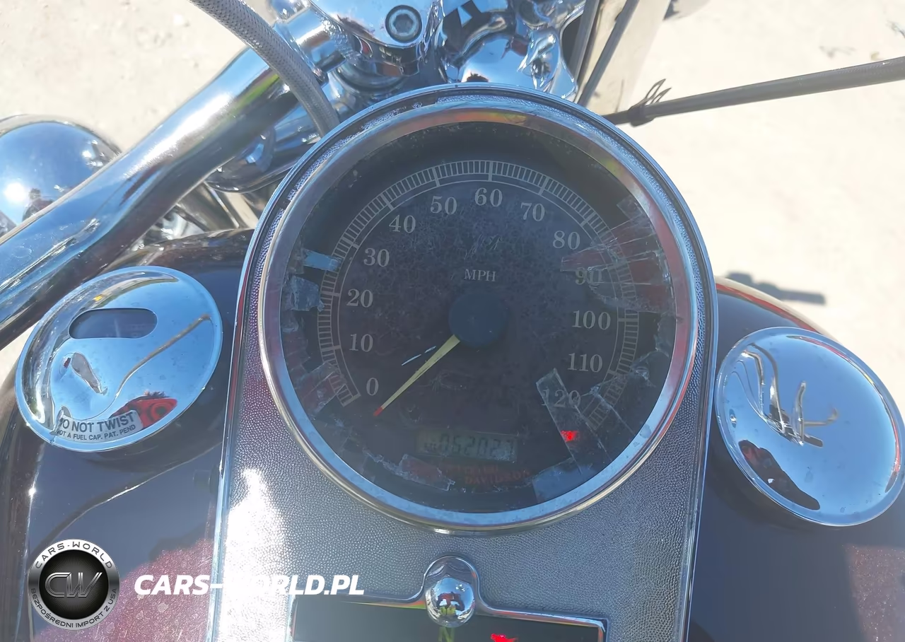 2006 Harley-Davidson Flstci VIN:1HD1BWB376Y057331 - 7