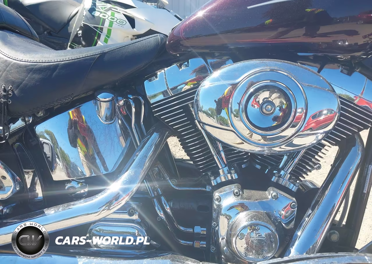 2006 Harley-Davidson Flstci VIN:1HD1BWB376Y057331 - 8