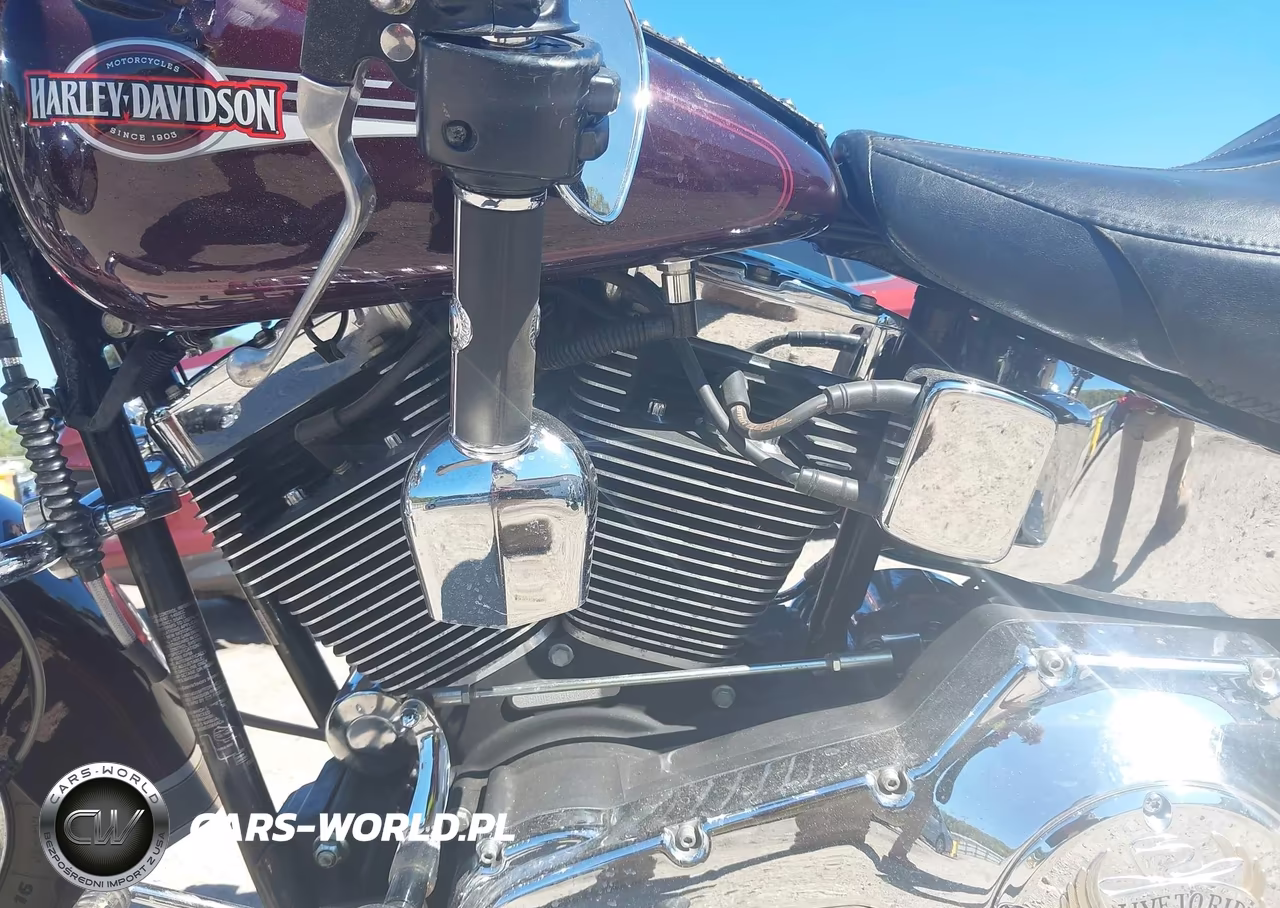2006 Harley-Davidson Flstci VIN:1HD1BWB376Y057331 - 9