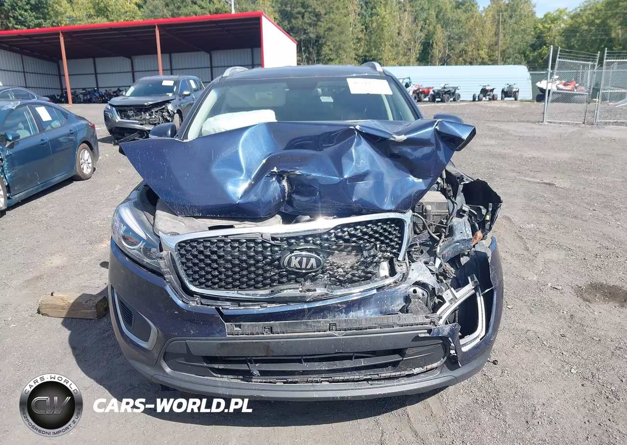 2018 Kia Sorento 3.3L Lx VIN:5XYPGDA54JG391161 - 12