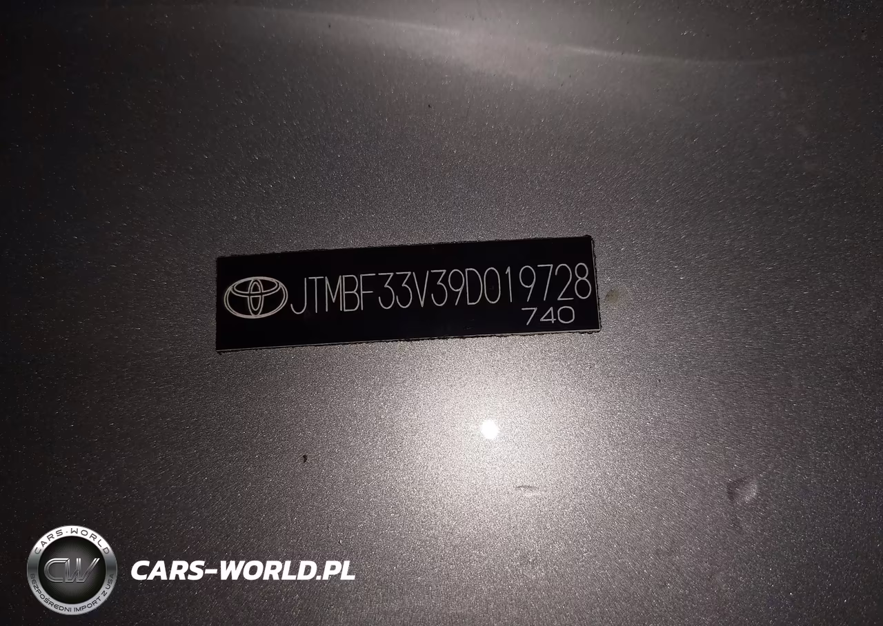 2009 Toyota Rav4 VIN:JTMBF33V39D019728 - 18