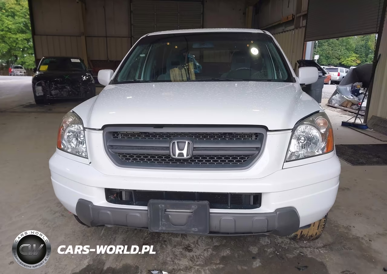 2005 Honda Pilot Ex VIN:5FNYF18425B042712 - 12