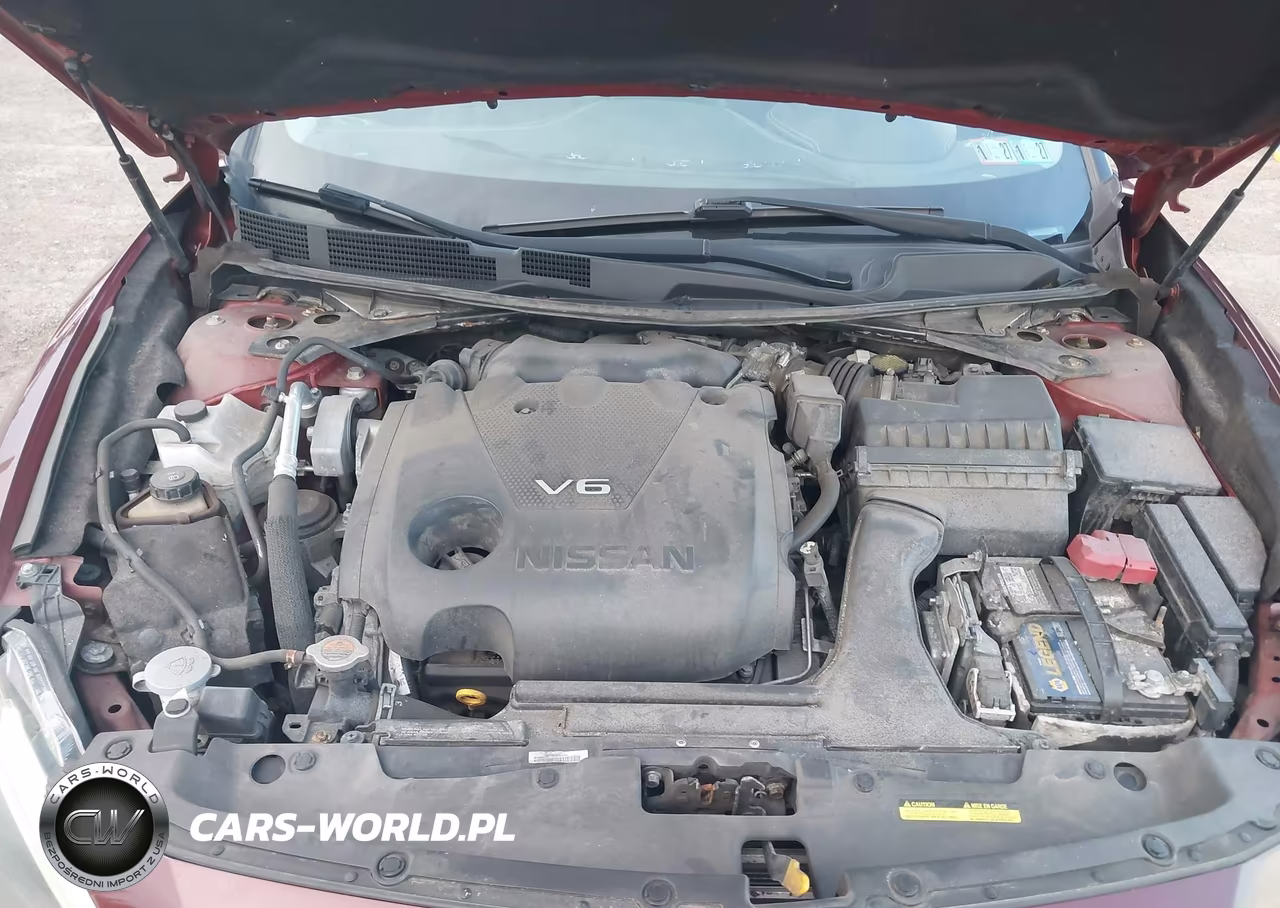 2016 Nissan Maxima 3.5 Platinum VIN:1N4AA6AP5GC422683 - 10
