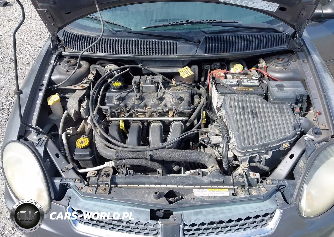 2003 Dodge Neon Sxt VIN:1B3ES56C63D125792 - 10