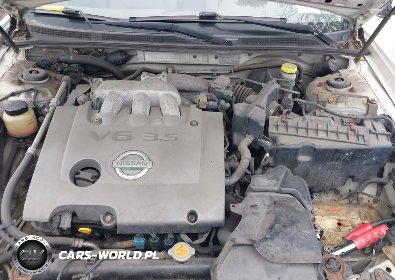 2002 Nissan Maxima Se VIN:JN1DA31D92T427215 - 10
