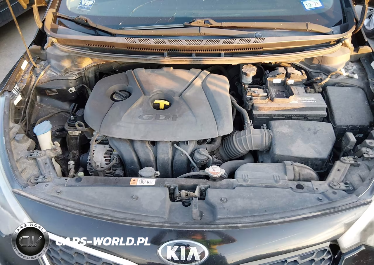 2016 Kia Forte Ex VIN:KNAFZ4A88G5548107 - 10