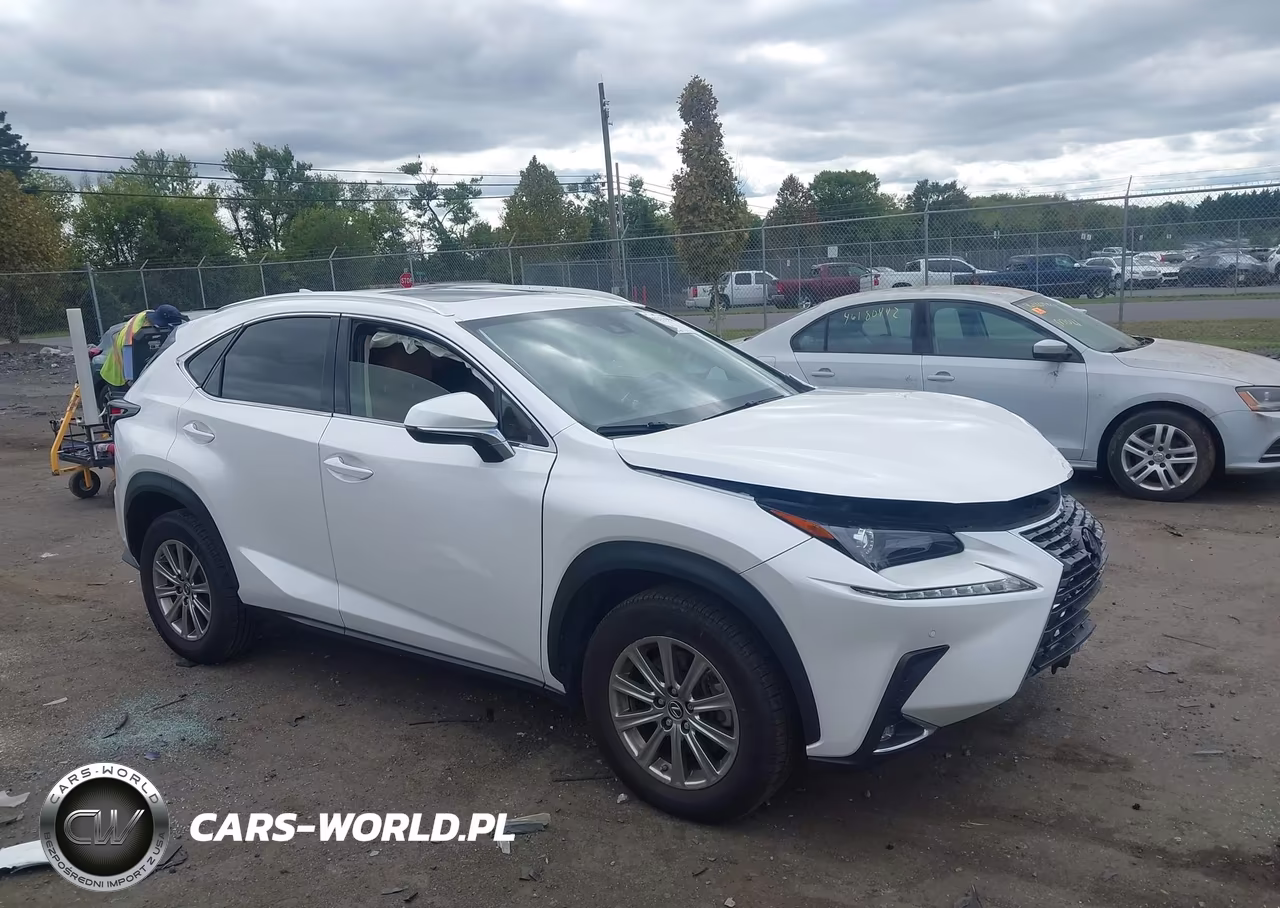 2021 Lexus Nx 300 VIN:JTJDARDZ3M5020051 - 1