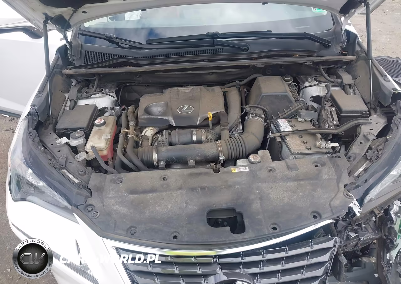 2021 Lexus Nx 300 VIN:JTJDARDZ3M5020051 - 10