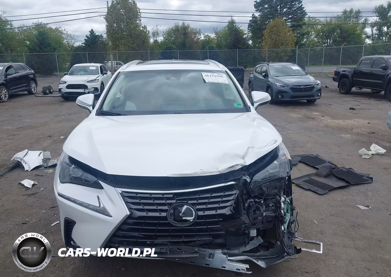 2021 Lexus Nx 300 VIN:JTJDARDZ3M5020051 - 12