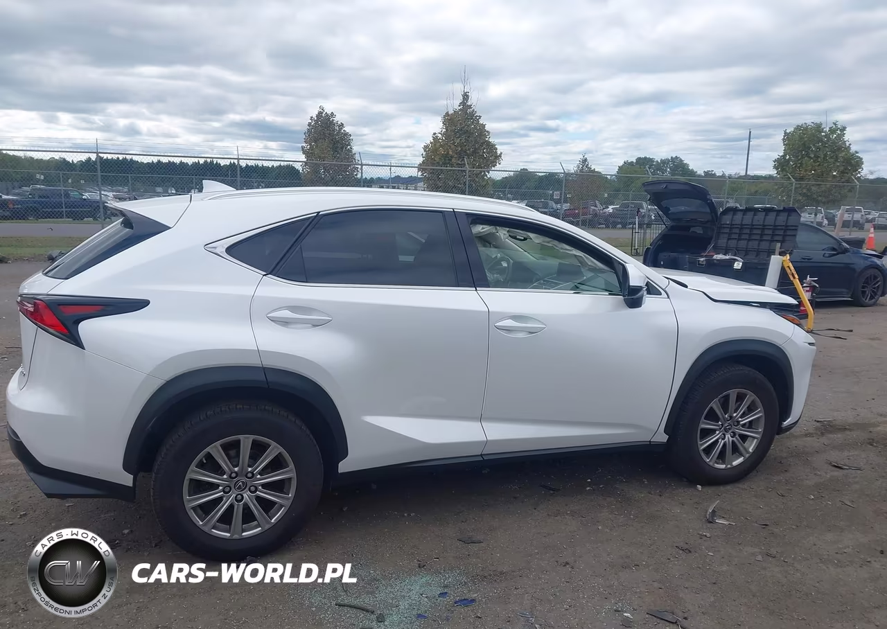 2021 Lexus Nx 300 VIN:JTJDARDZ3M5020051 - 13
