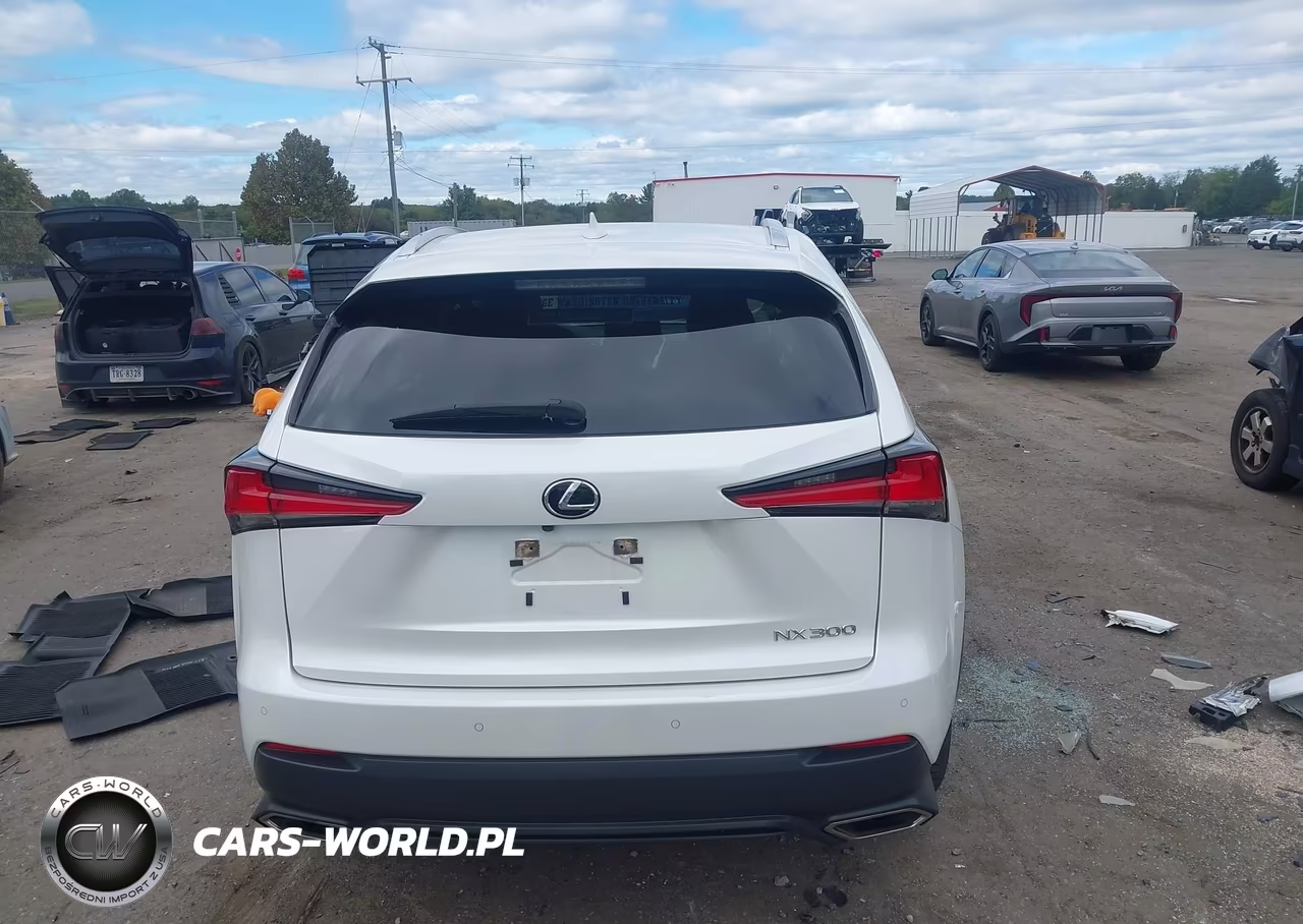 2021 Lexus Nx 300 VIN:JTJDARDZ3M5020051 - 16