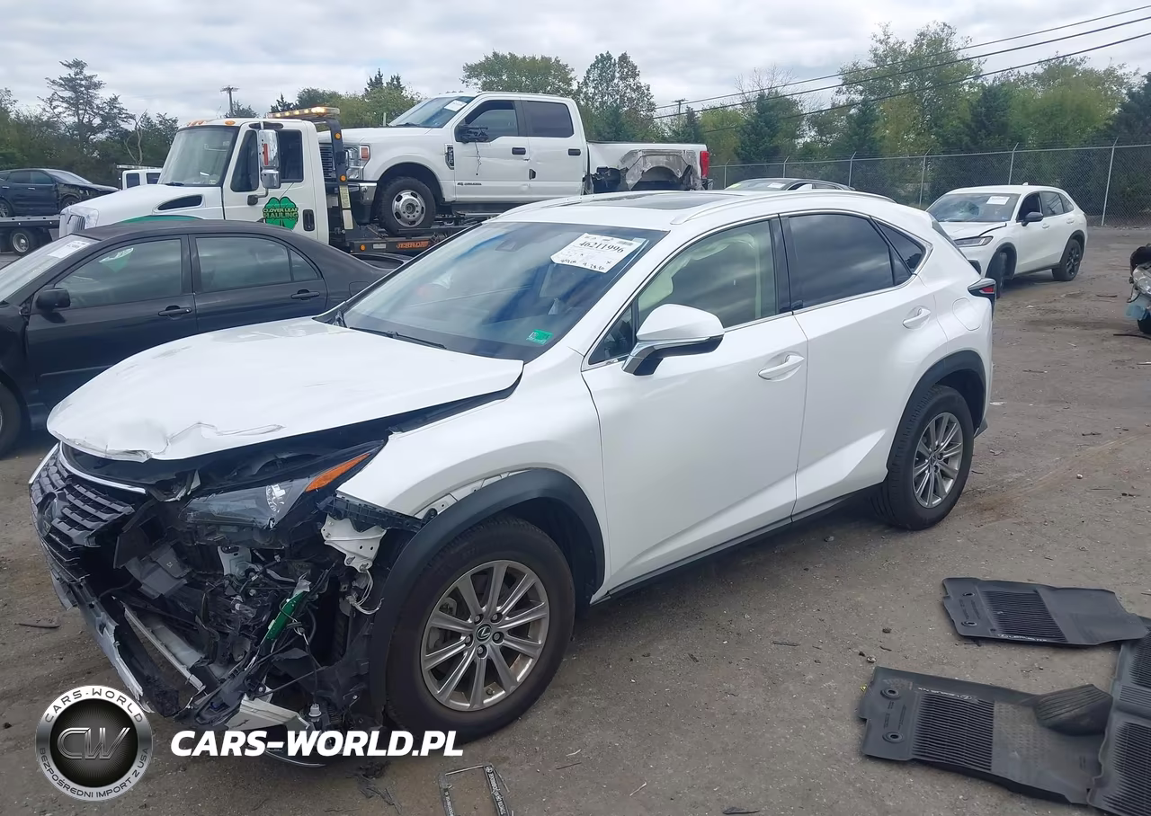 2021 Lexus Nx 300 VIN:JTJDARDZ3M5020051 - 2