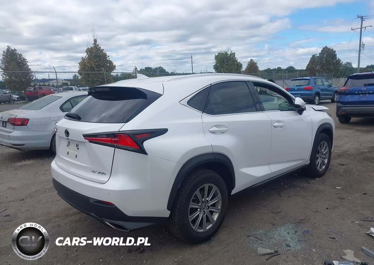 2021 Lexus Nx 300 VIN:JTJDARDZ3M5020051 - 4