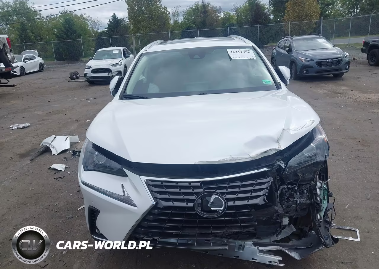 2021 Lexus Nx 300 VIN:JTJDARDZ3M5020051 - 6