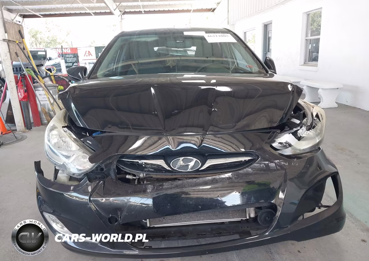 2012 Hyundai Accent Se VIN:KMHCU5AE2CU032563 - 12