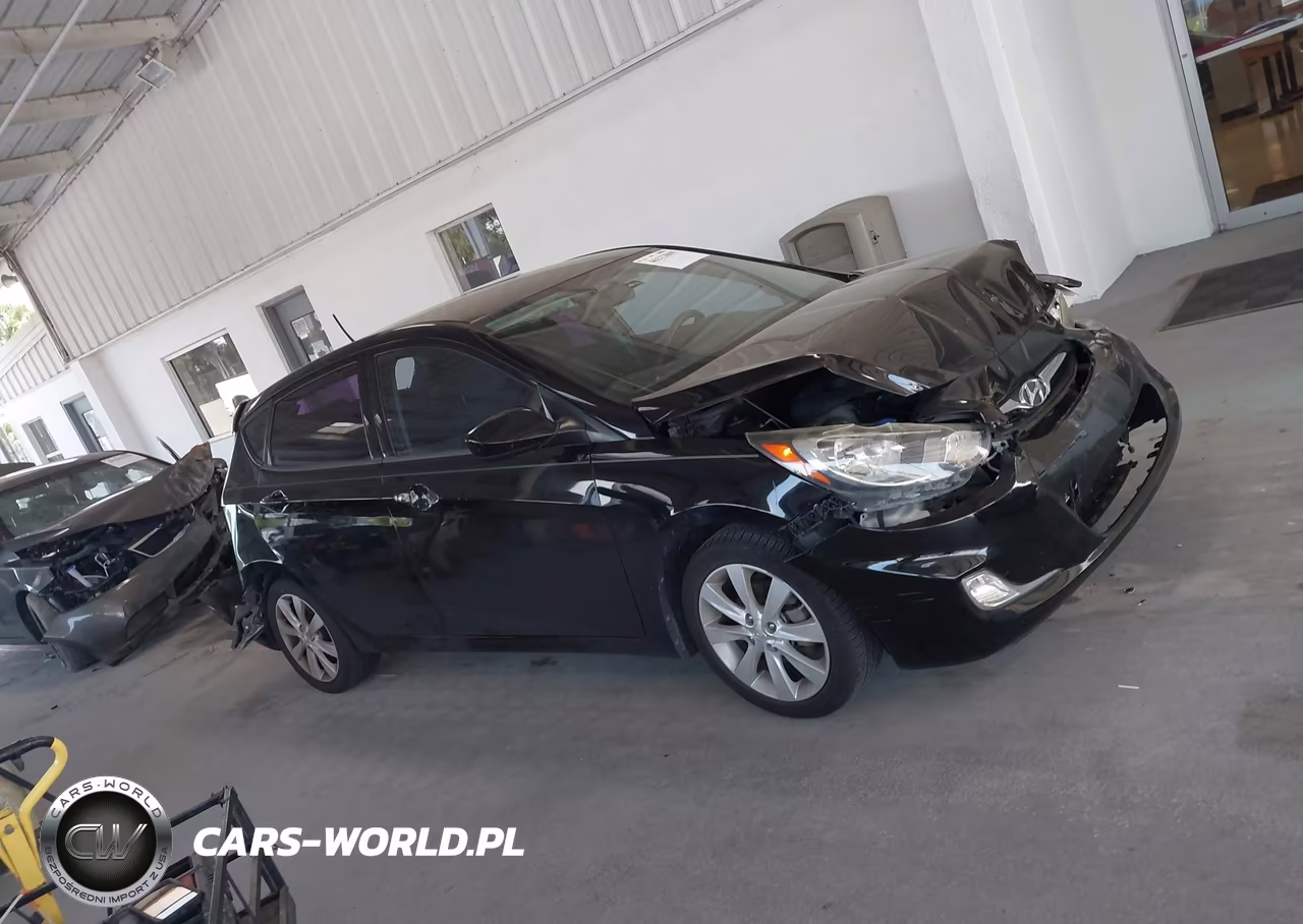 2012 Hyundai Accent Se VIN:KMHCU5AE2CU032563 - 13