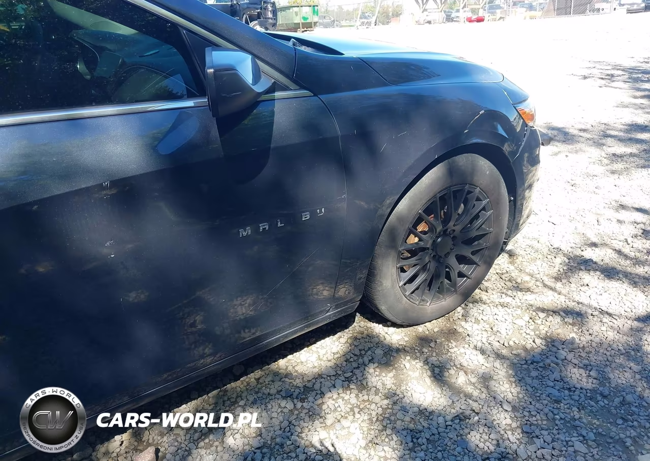 2019 Chevrolet Malibu Lt VIN:1G1ZD5ST5KF114911 - 19