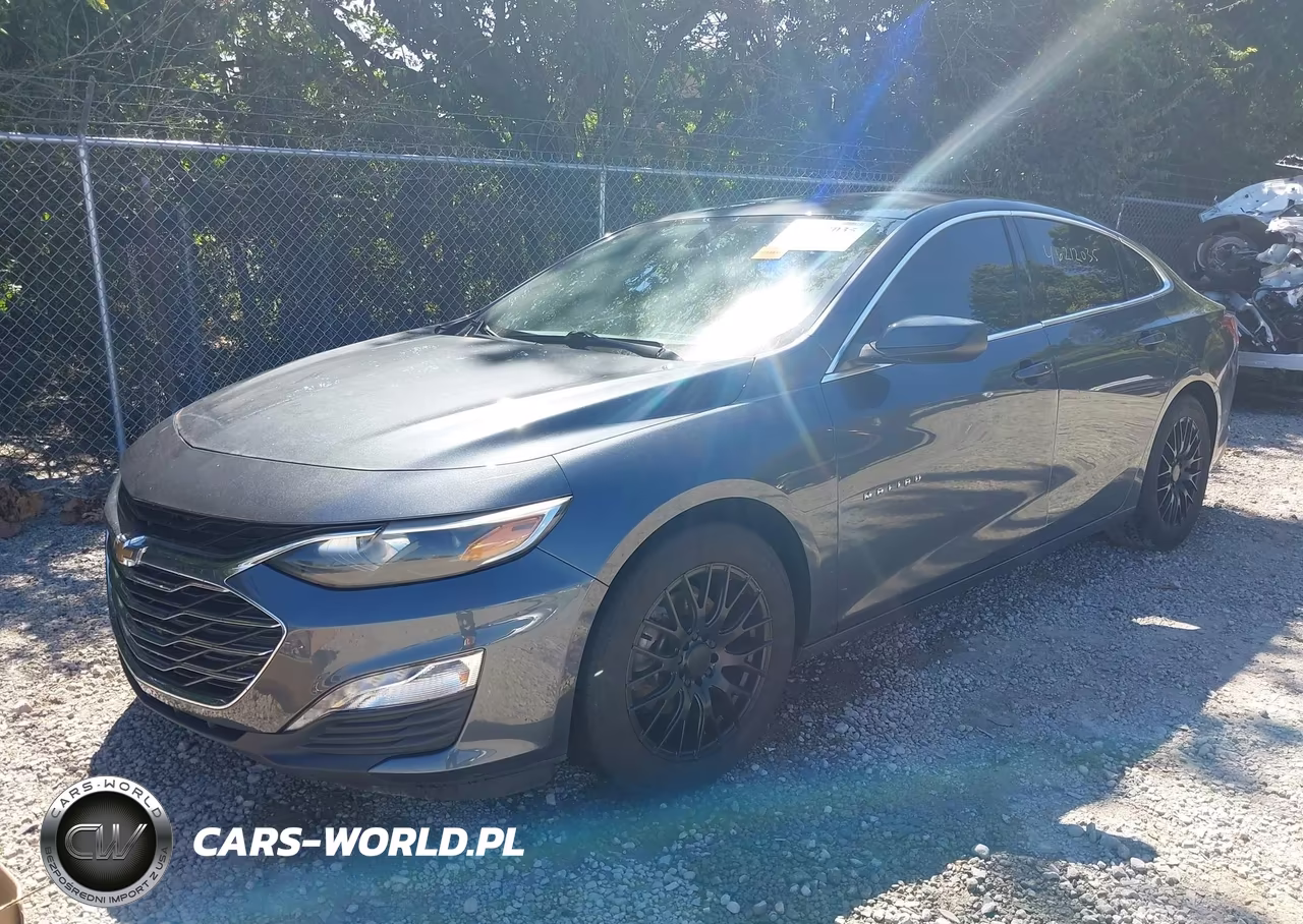 2019 Chevrolet Malibu Lt VIN:1G1ZD5ST5KF114911 - 2