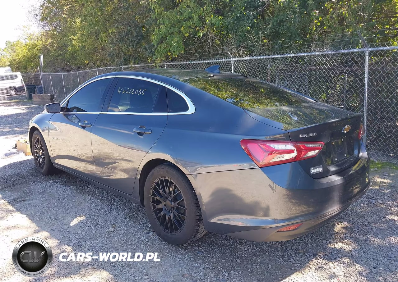 2019 Chevrolet Malibu Lt VIN:1G1ZD5ST5KF114911 - 3