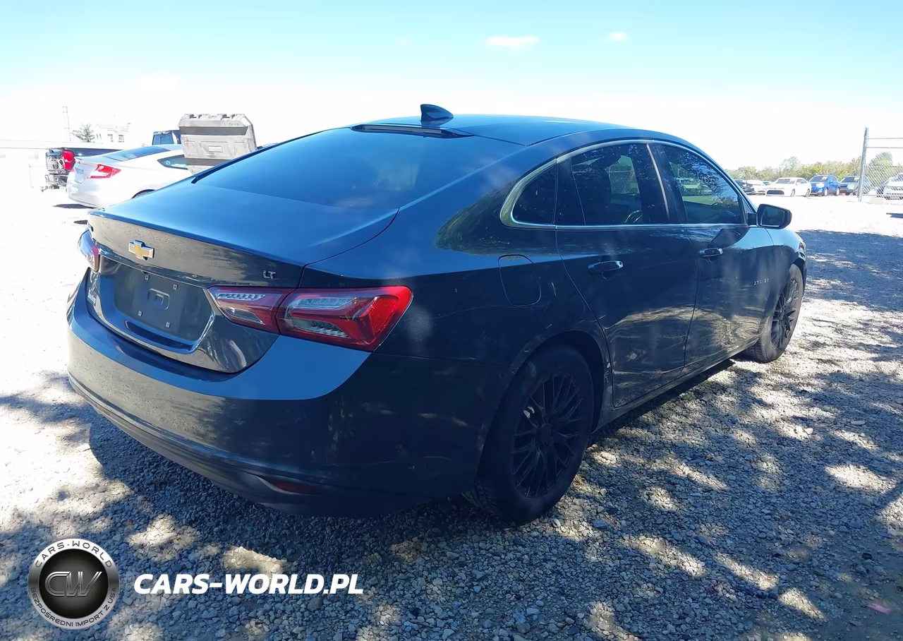 2019 Chevrolet Malibu Lt VIN:1G1ZD5ST5KF114911 - 4