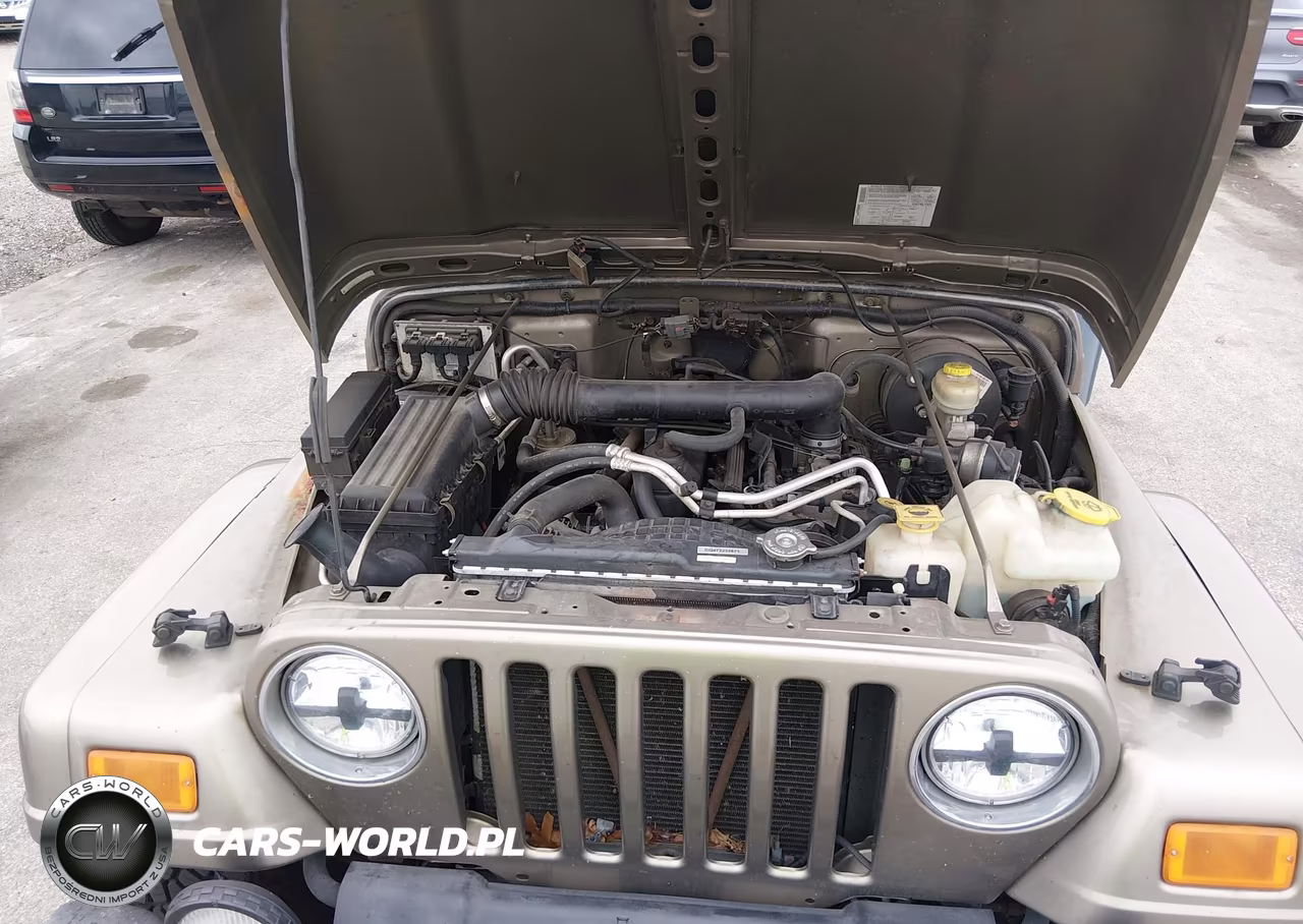 2004 Jeep Wrangler Sahara VIN:1J4FA59S34P773285 - 10