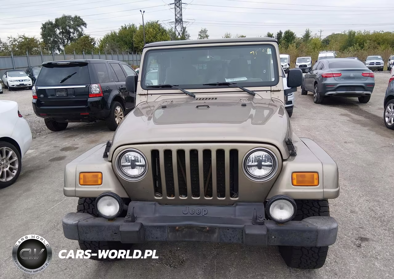 2004 Jeep Wrangler Sahara VIN:1J4FA59S34P773285 - 12