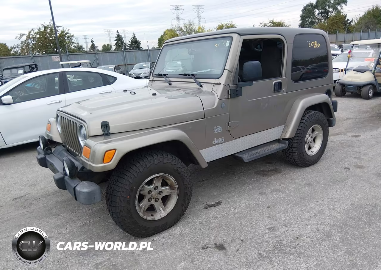 2004 Jeep Wrangler Sahara VIN:1J4FA59S34P773285 - 2