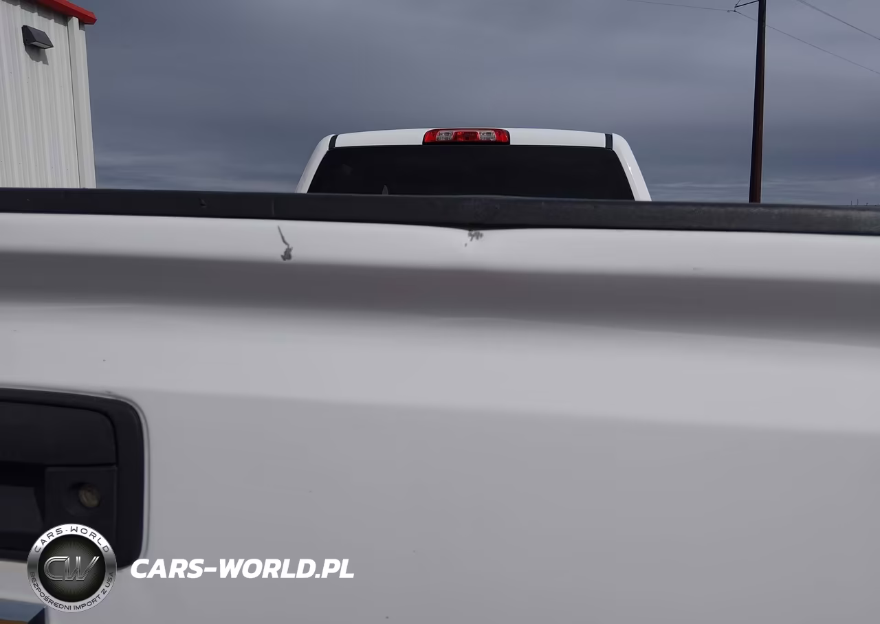 2018 Chevrolet Silverado 2500Hd Wt VIN:1GC1KUEG6JF225498 - 13