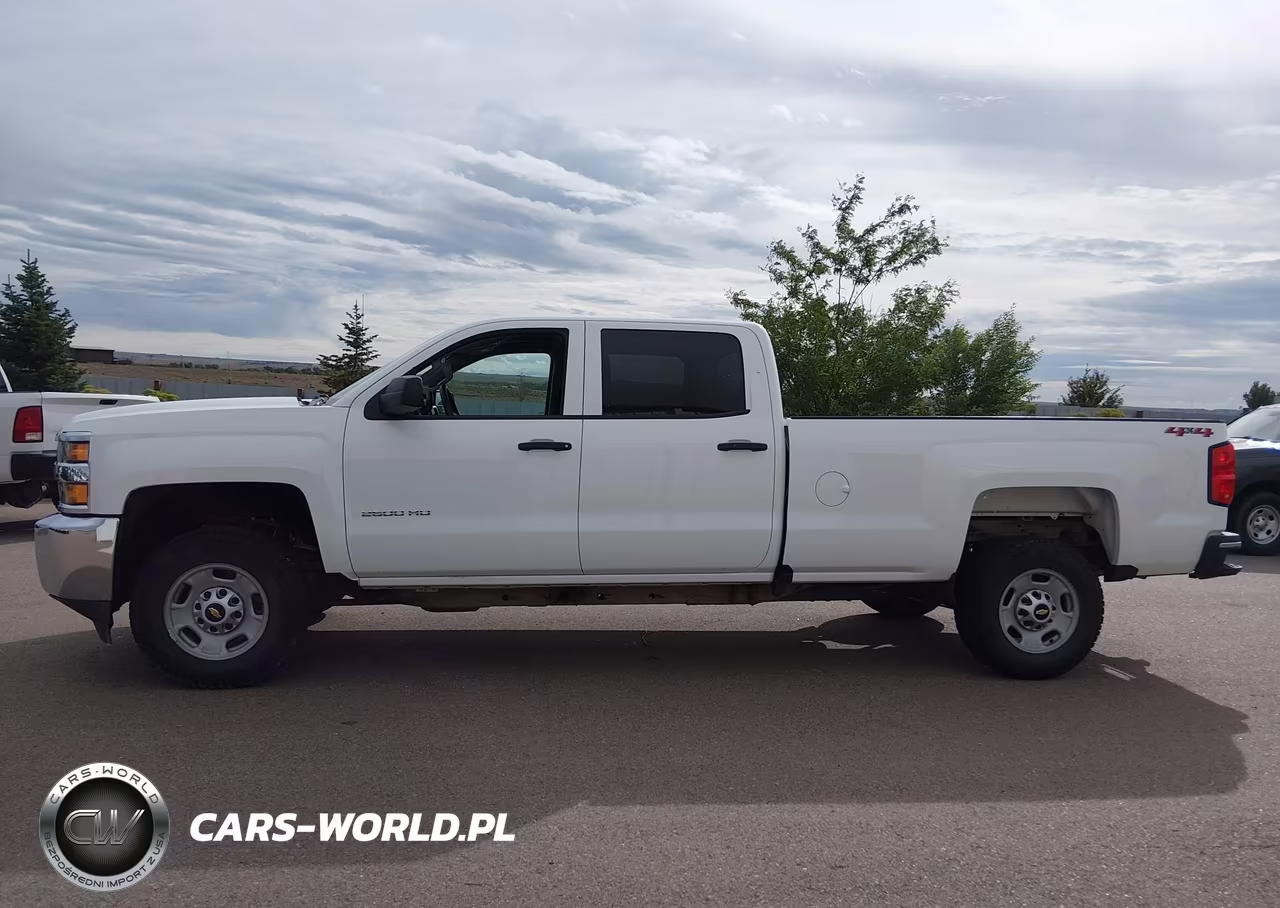 2018 Chevrolet Silverado 2500Hd Wt VIN:1GC1KUEG6JF225498 - 19