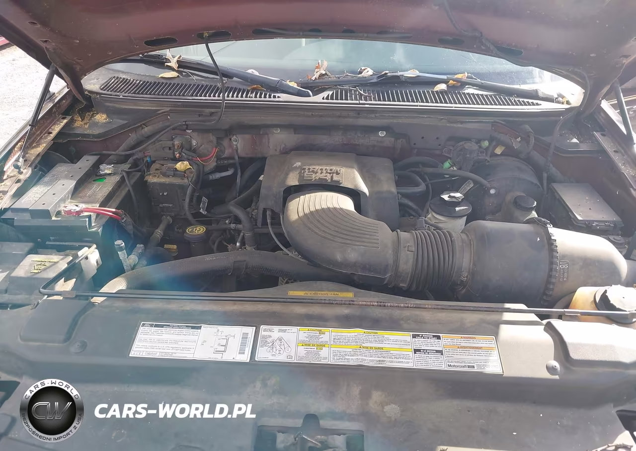2000 Ford F-150 Lariat-Work Series-Xl-Xlt VIN:1FTRX17L4YNB69705 - 10