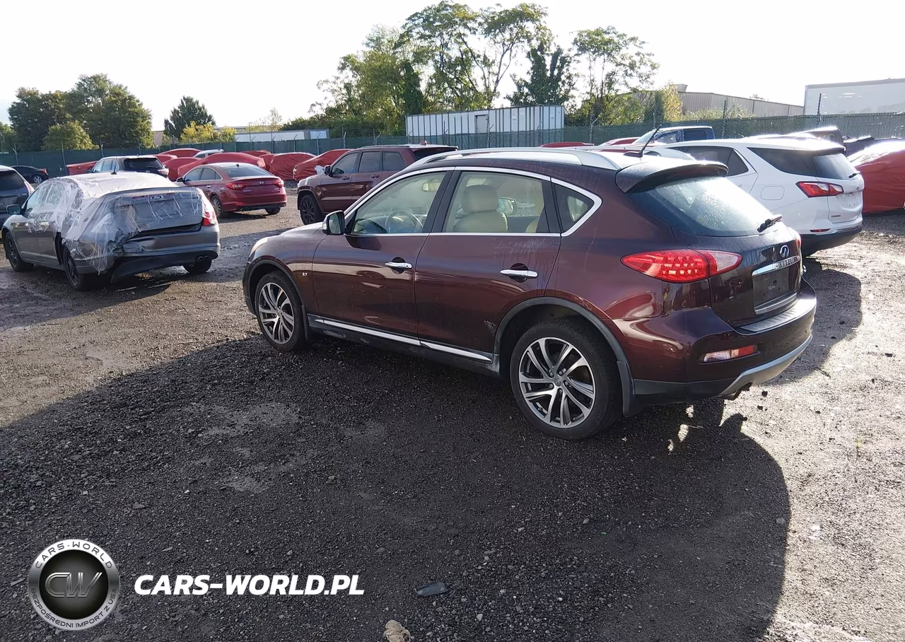 2017 Infiniti Qx50 VIN:JN1BJ0RR6HM408579 - 3