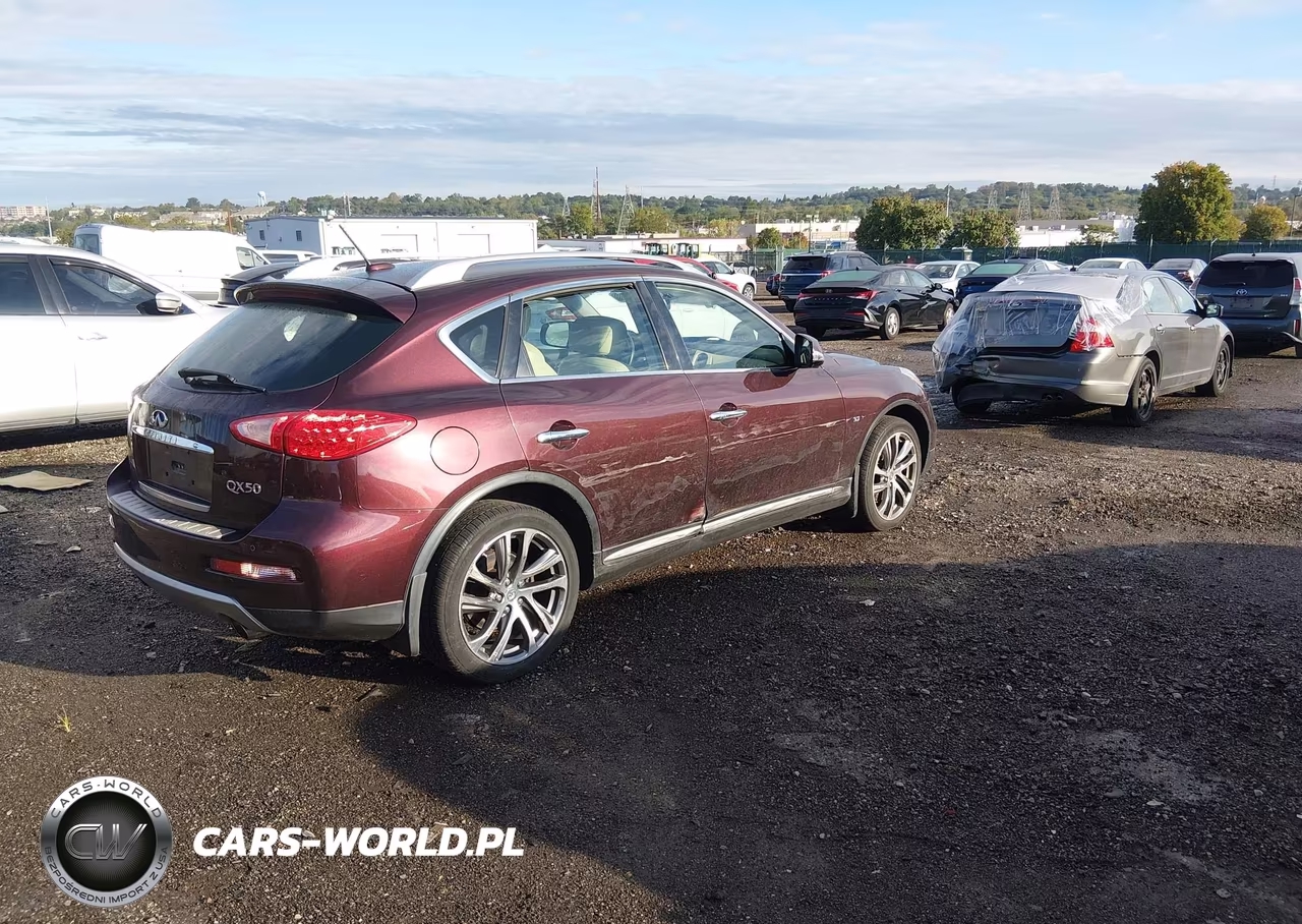 2017 Infiniti Qx50 VIN:JN1BJ0RR6HM408579 - 4