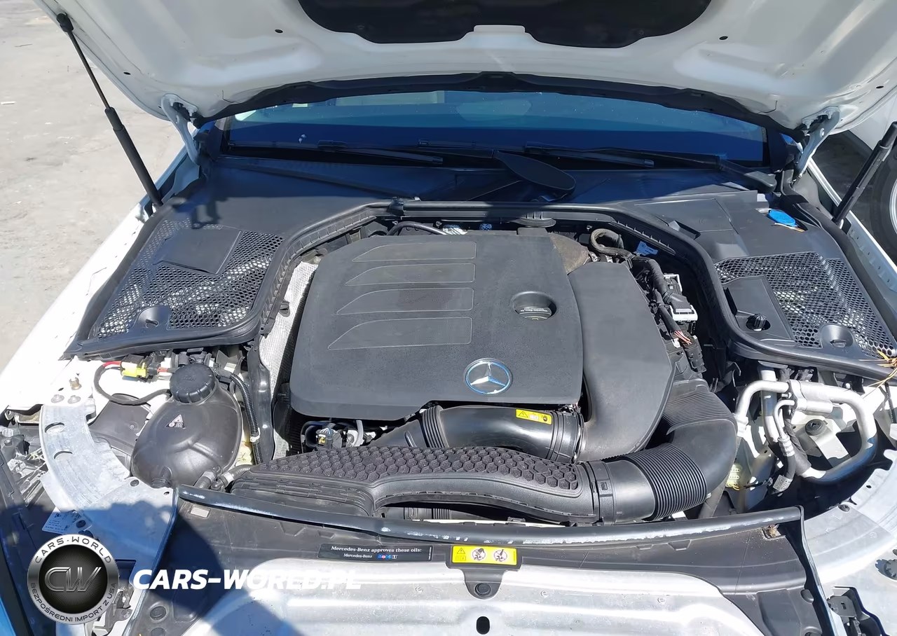 2019 Mercedes-Benz C 300 VIN:55SWF8DB9KU318849 - 10