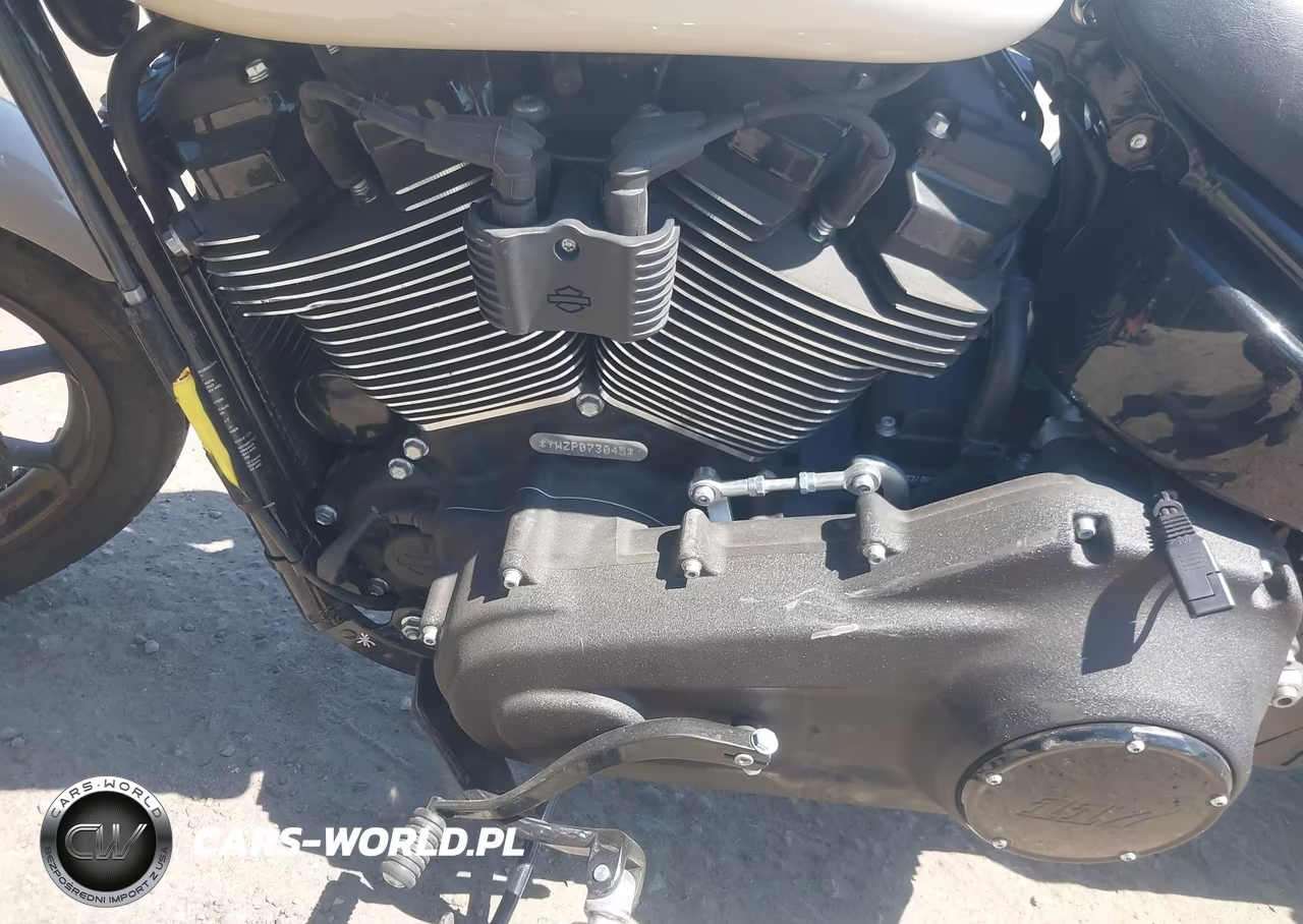 2023 Harley-Davidson Fxlrs VIN:1HD1YWZ1XPB073045 - 9
