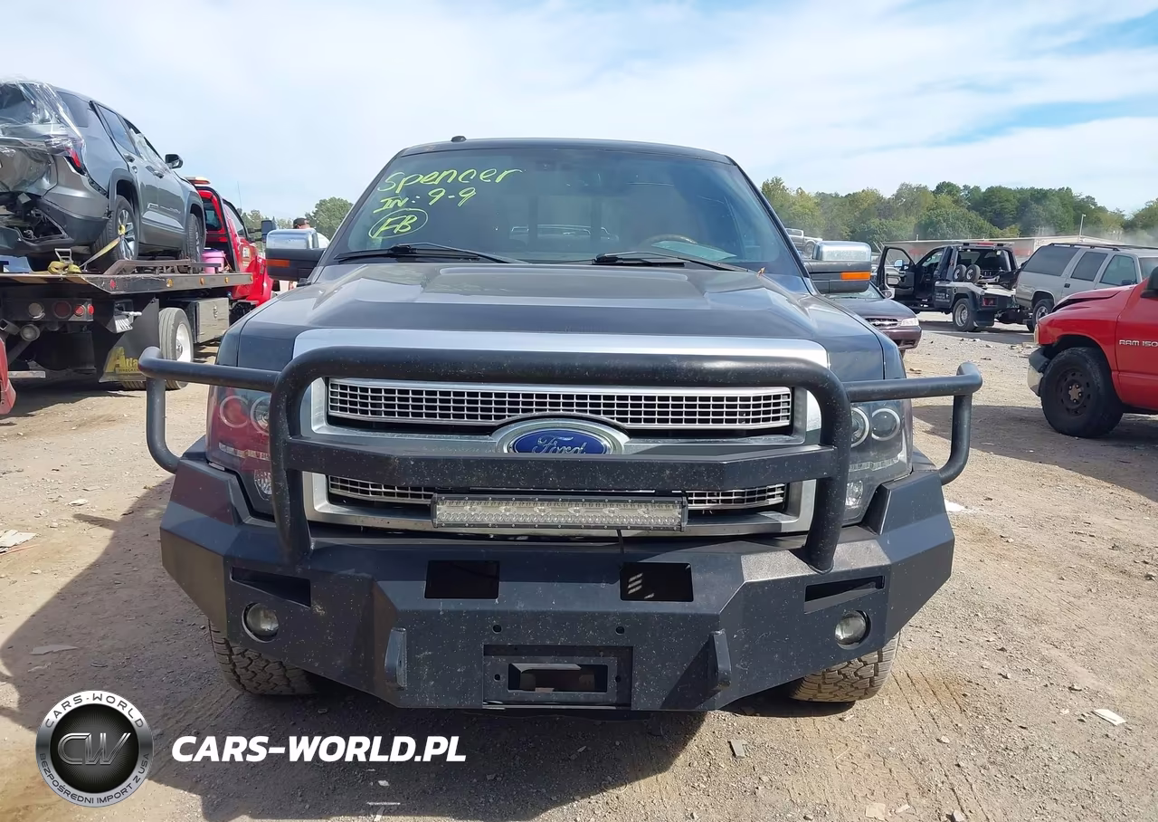 2010 Ford F-150 Fx4-Harley-Davidson-King Ranch-Lariat-Platinum-Xl-Xlt VIN:1FTFW1EV2AFD19997 - 12
