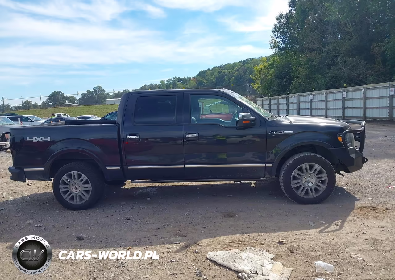 2010 Ford F-150 Fx4-Harley-Davidson-King Ranch-Lariat-Platinum-Xl-Xlt VIN:1FTFW1EV2AFD19997 - 13