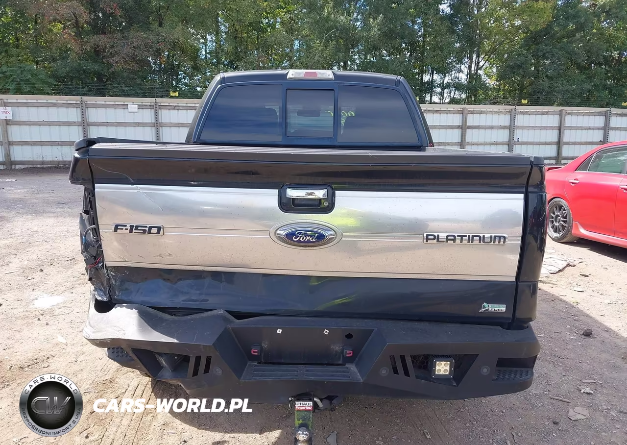 2010 Ford F-150 Fx4-Harley-Davidson-King Ranch-Lariat-Platinum-Xl-Xlt VIN:1FTFW1EV2AFD19997 - 16