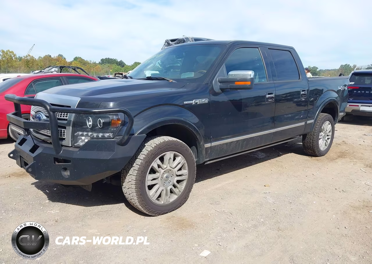 2010 Ford F-150 Fx4-Harley-Davidson-King Ranch-Lariat-Platinum-Xl-Xlt VIN:1FTFW1EV2AFD19997 - 2