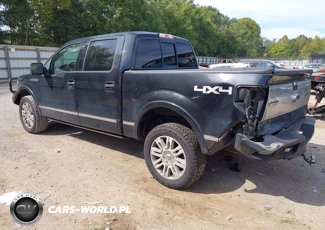 2010 Ford F-150 Fx4-Harley-Davidson-King Ranch-Lariat-Platinum-Xl-Xlt VIN:1FTFW1EV2AFD19997 - 3