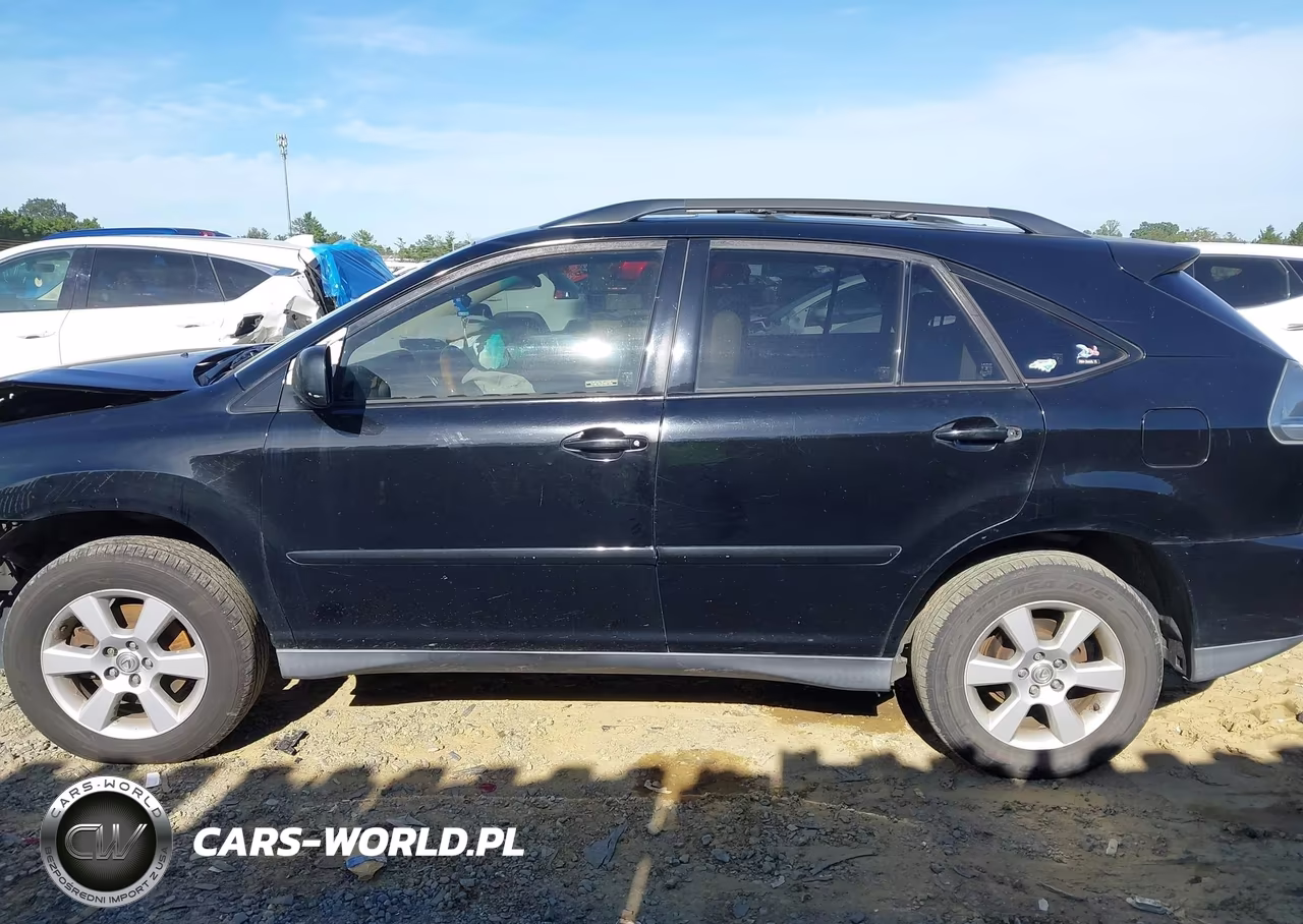 2004 Lexus Rx 330 VIN:JTJHA31U740047970 - 15