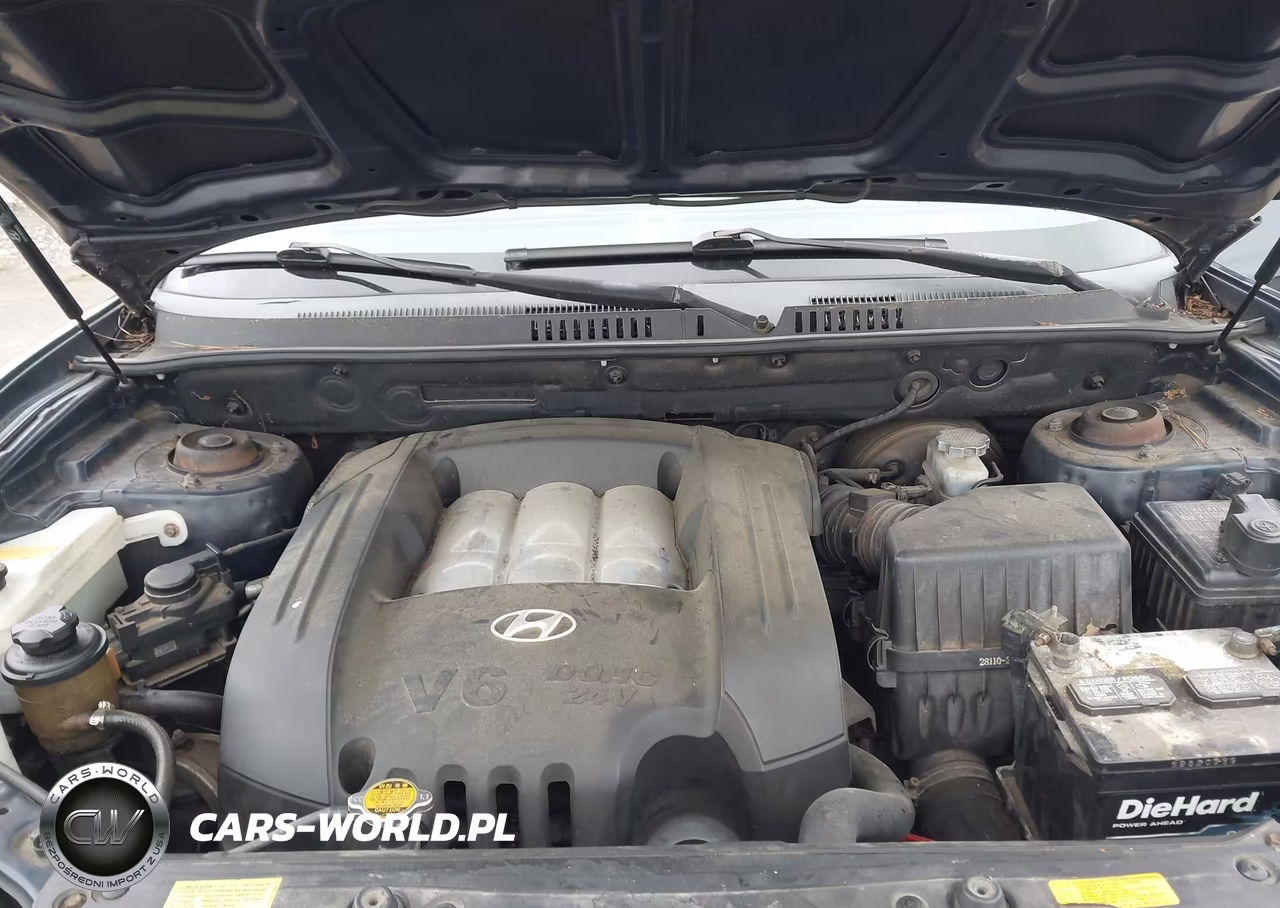 2005 Hyundai Santa Fe Gls VIN:KM8SC13D35U964818 - 10