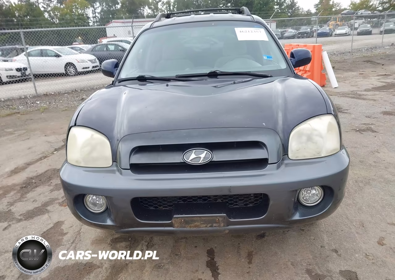 2005 Hyundai Santa Fe Gls VIN:KM8SC13D35U964818 - 12