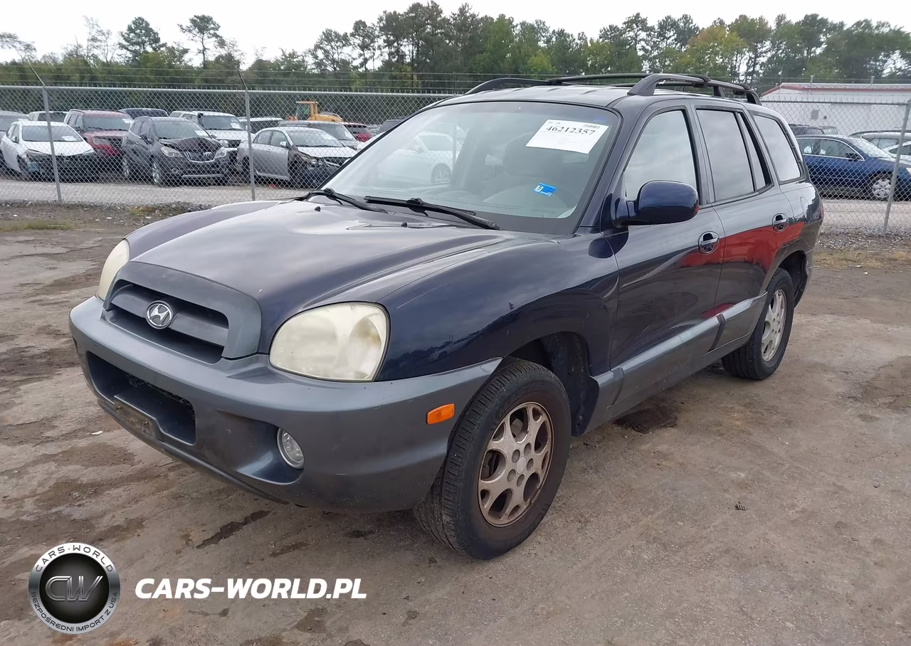 2005 Hyundai Santa Fe Gls VIN:KM8SC13D35U964818 - 2