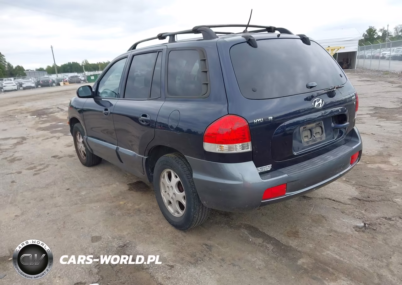 2005 Hyundai Santa Fe Gls VIN:KM8SC13D35U964818 - 3