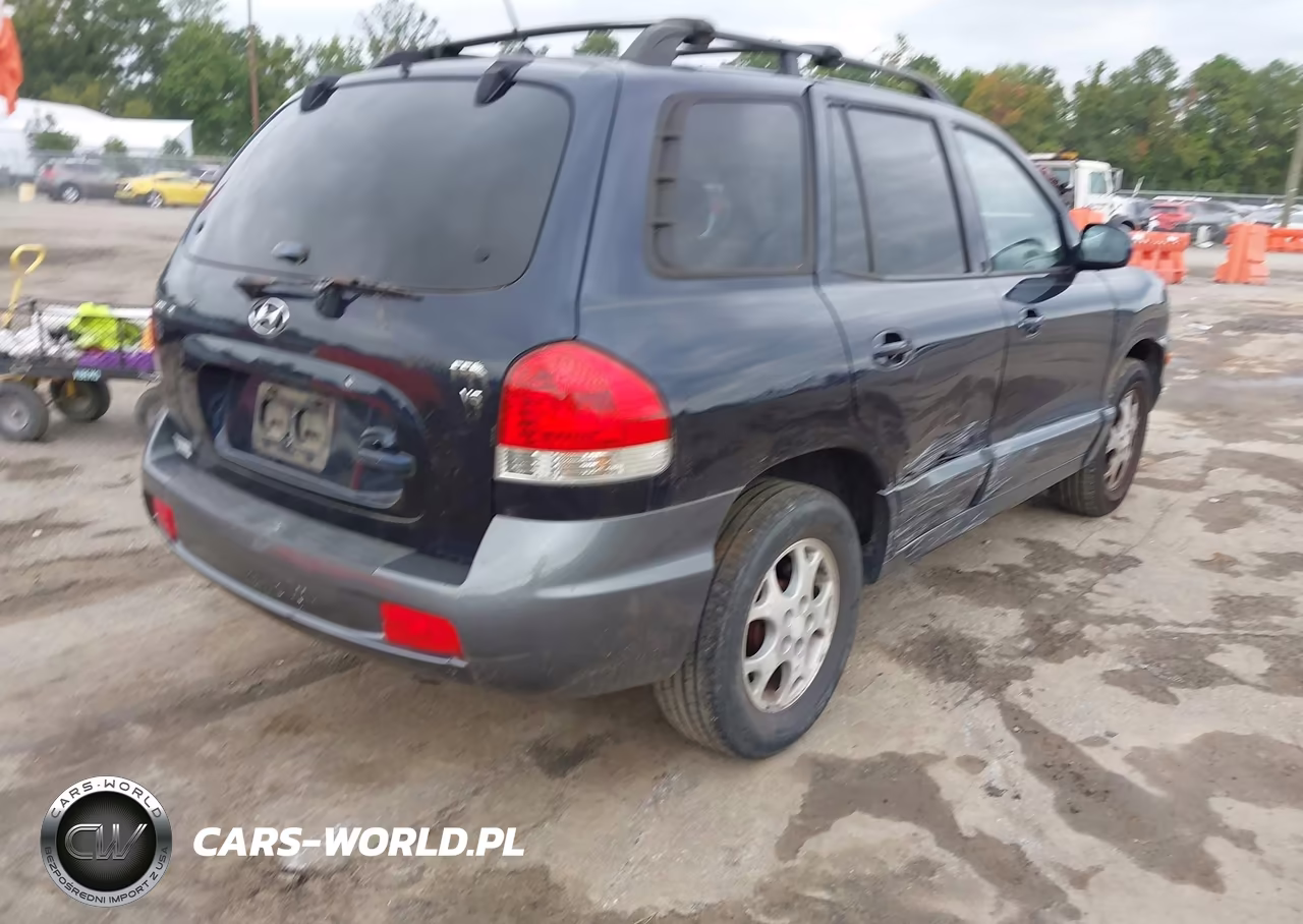 2005 Hyundai Santa Fe Gls VIN:KM8SC13D35U964818 - 4