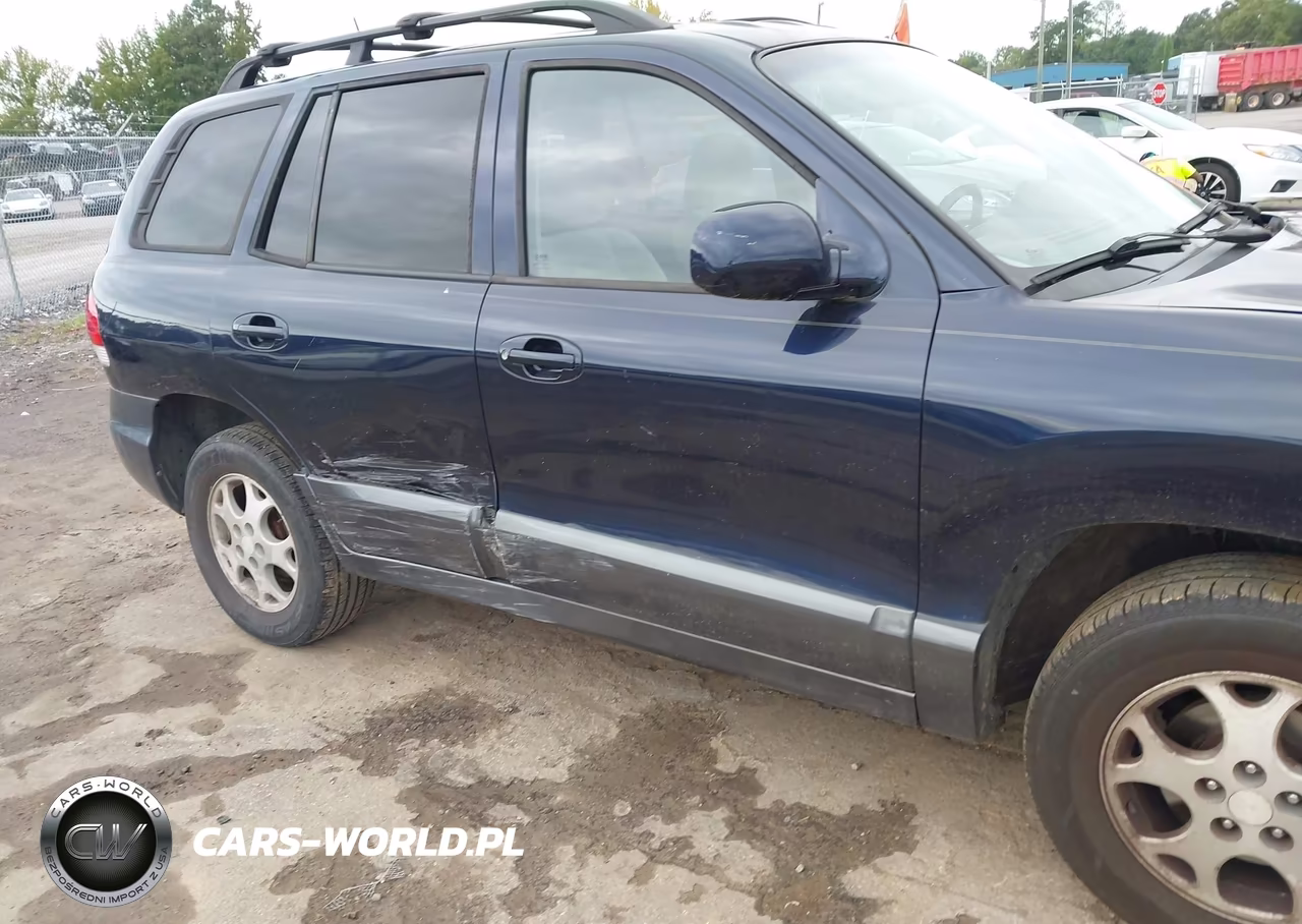 2005 Hyundai Santa Fe Gls VIN:KM8SC13D35U964818 - 6