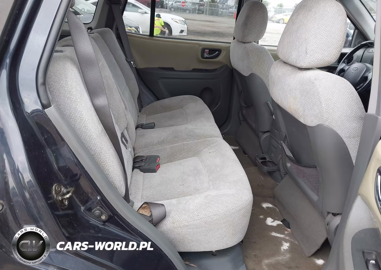 2005 Hyundai Santa Fe Gls VIN:KM8SC13D35U964818 - 8