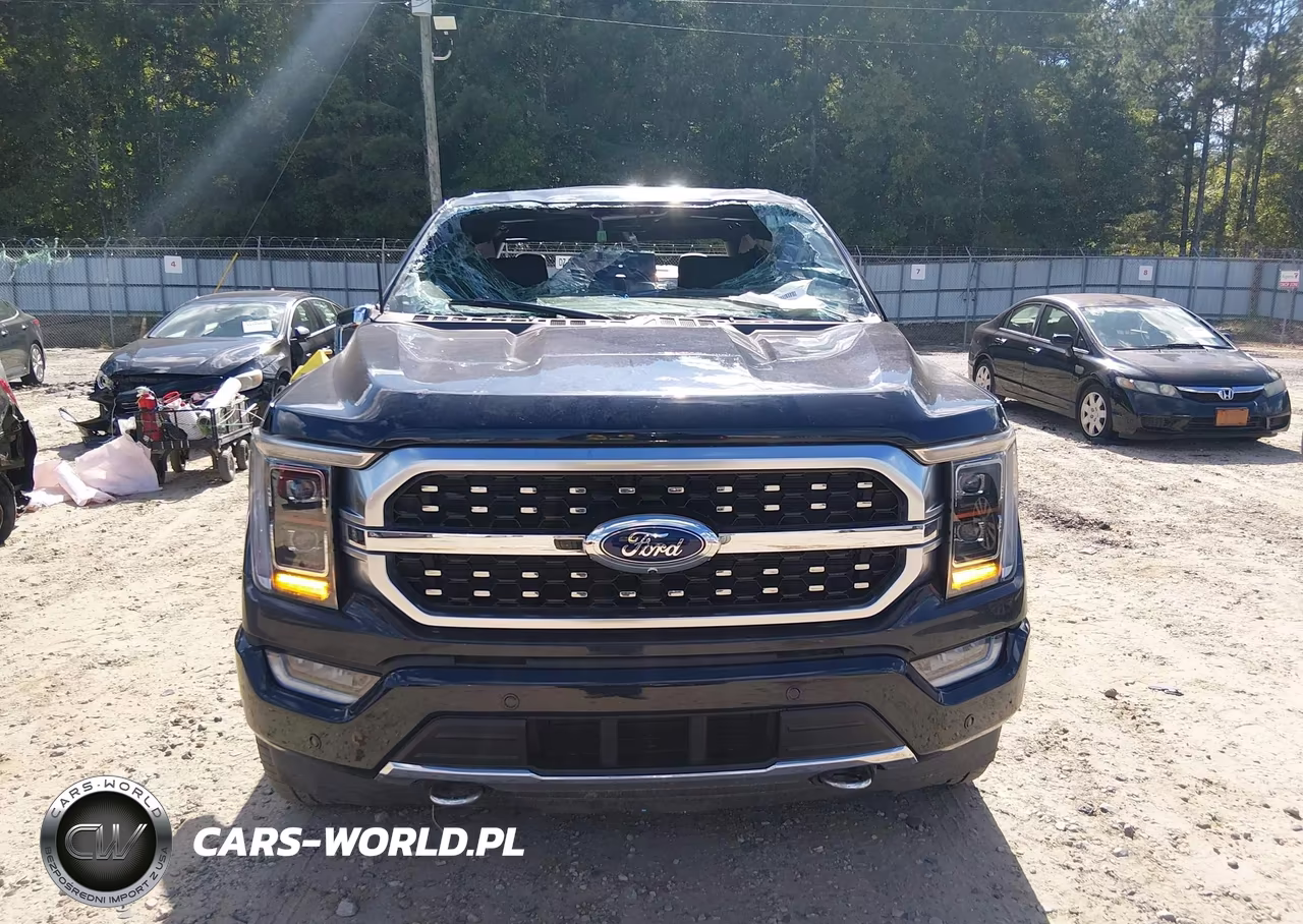2023 Ford F-150 Platinum VIN:1FTFW1ED9PFB86235 - 12